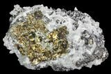 Pyrite, Sphalerite and Quartz Association - Peru #102554-1